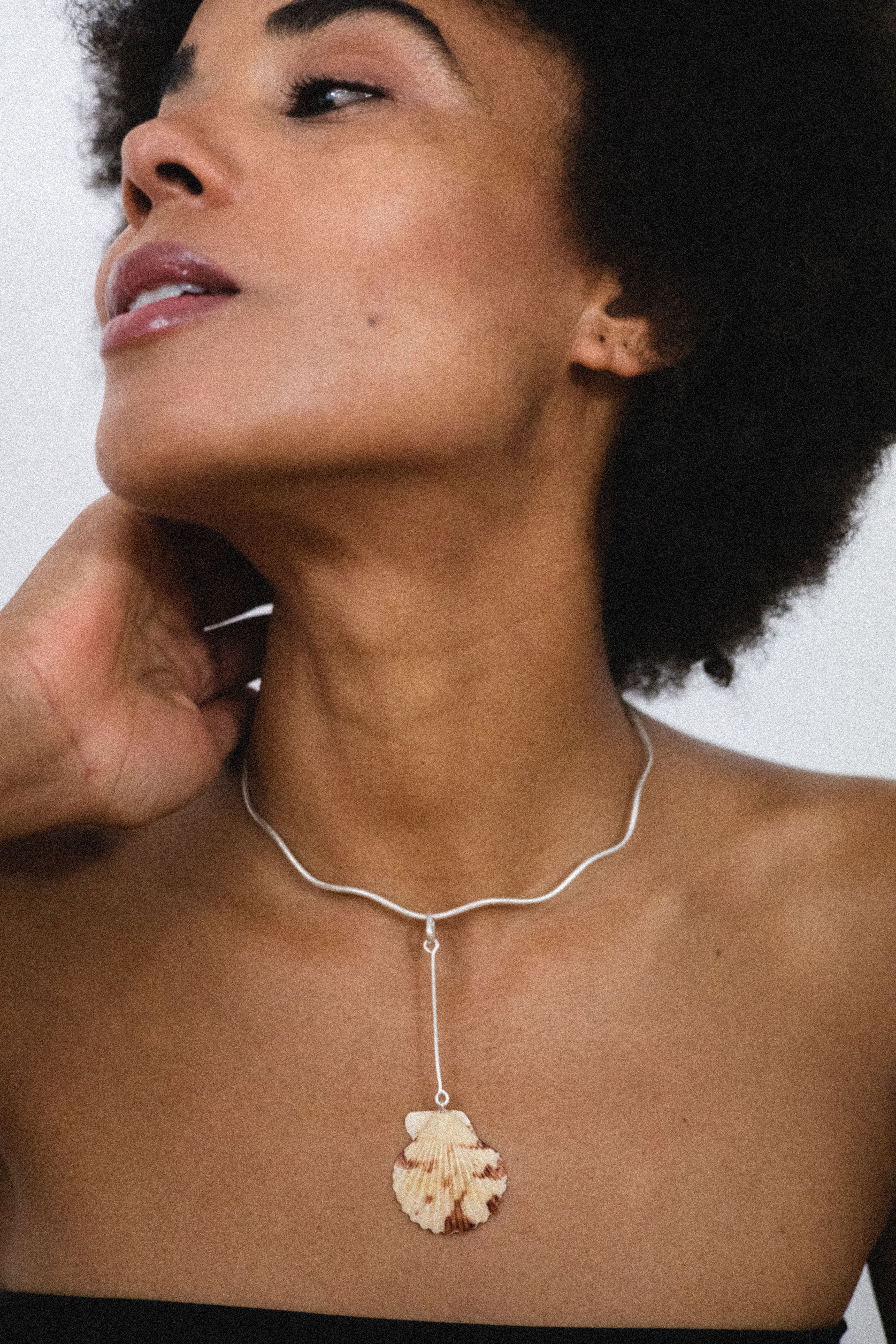 Pecten Necklace